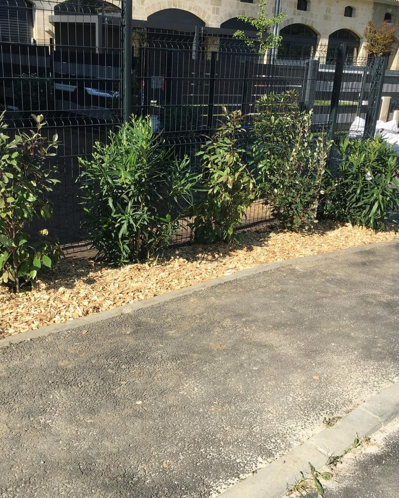 Allée enrobée, bordures et massifs plantés réalisés en aménagement extérieur